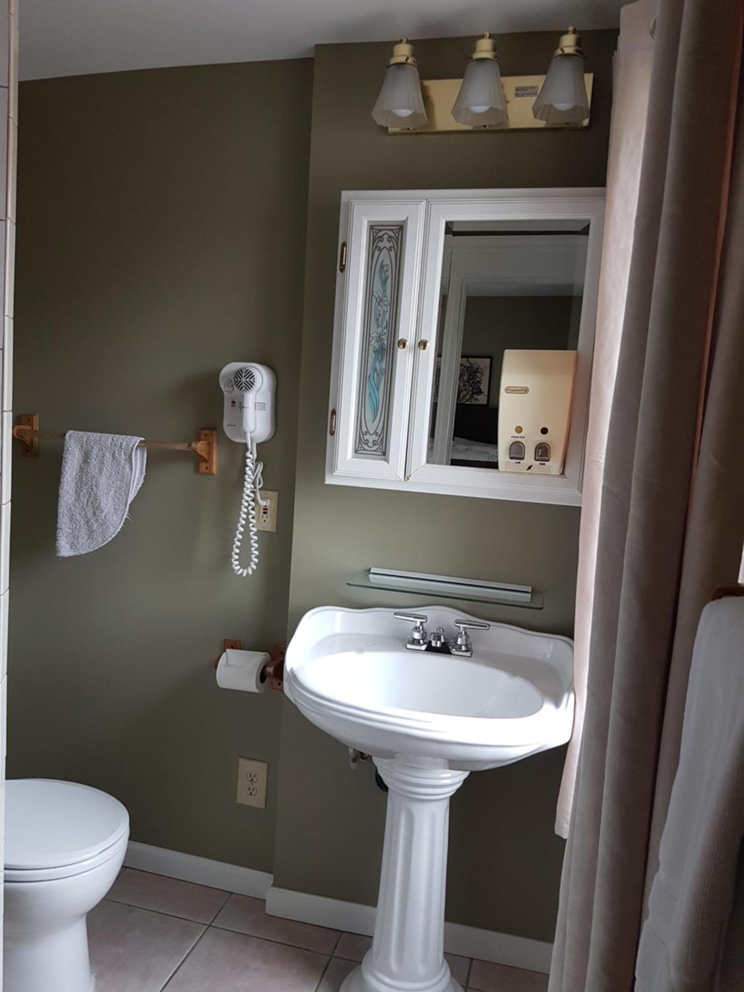 Ye Olde Walkerville Bed & Breakfast Виндзор Экстерьер фото